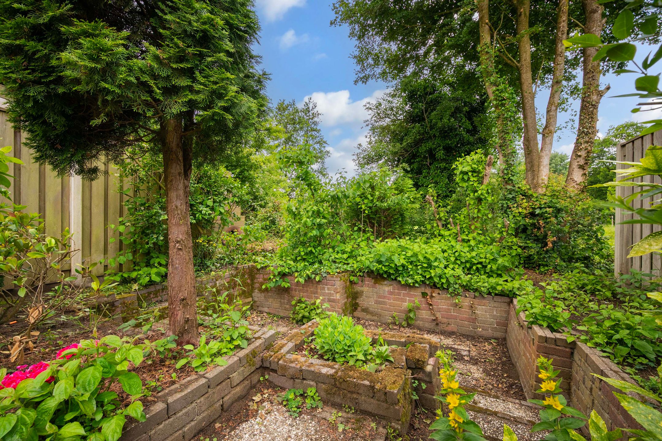 Foto 24 van Rakkersveld 306