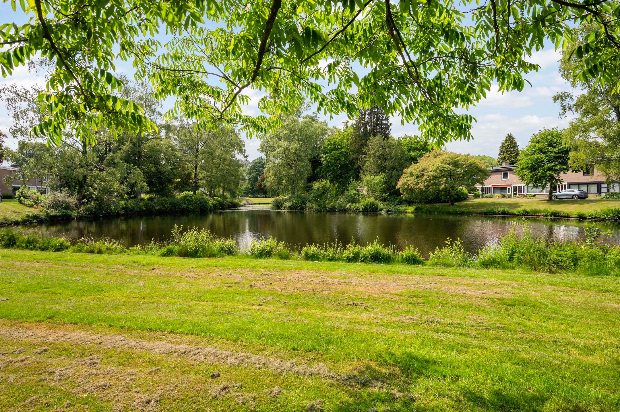 Foto 36 van Boerhaavestraat 36