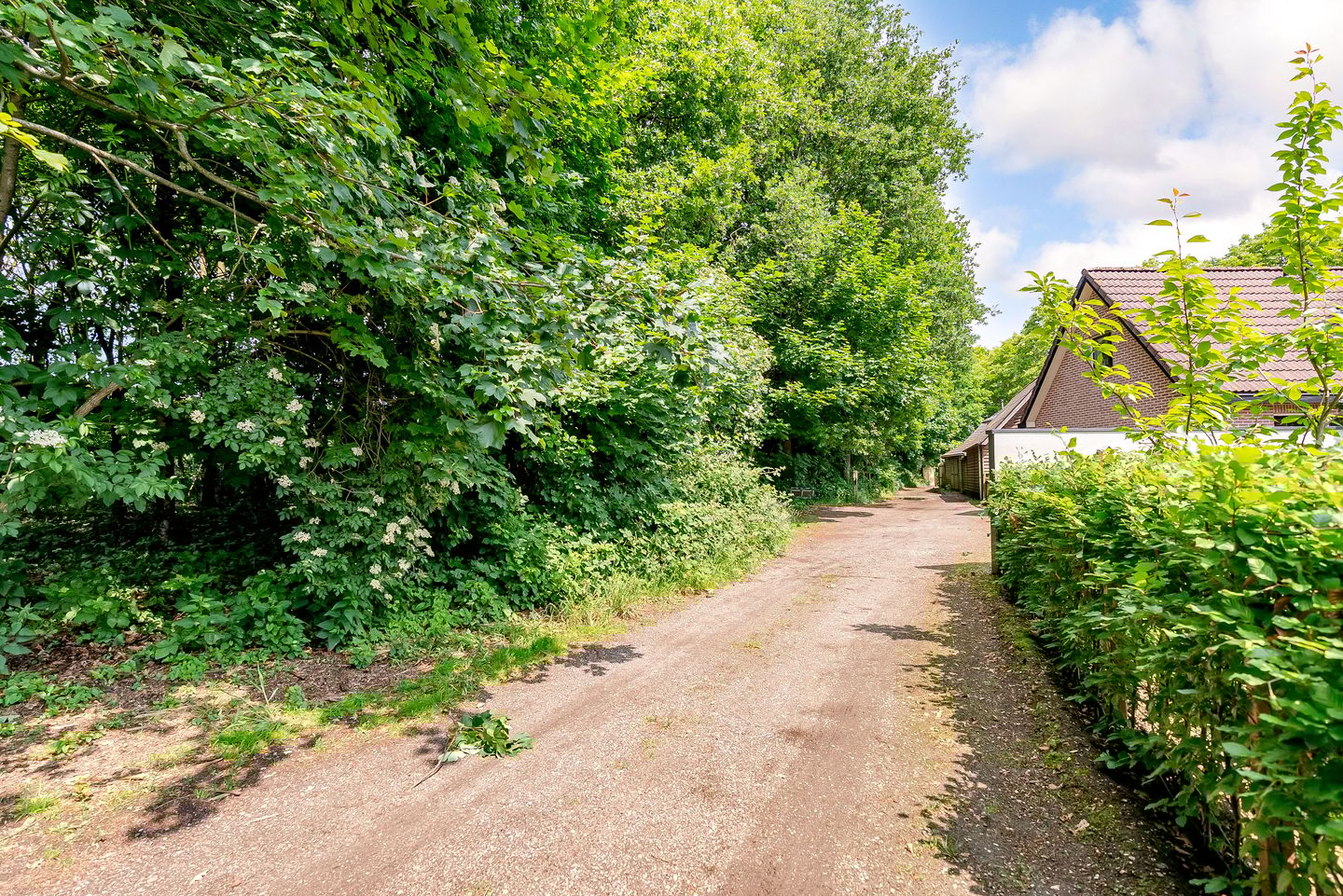 Foto 70 van Uddelerweg 52