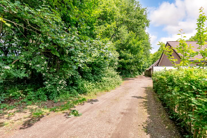 Foto 70 van Uddelerweg 52