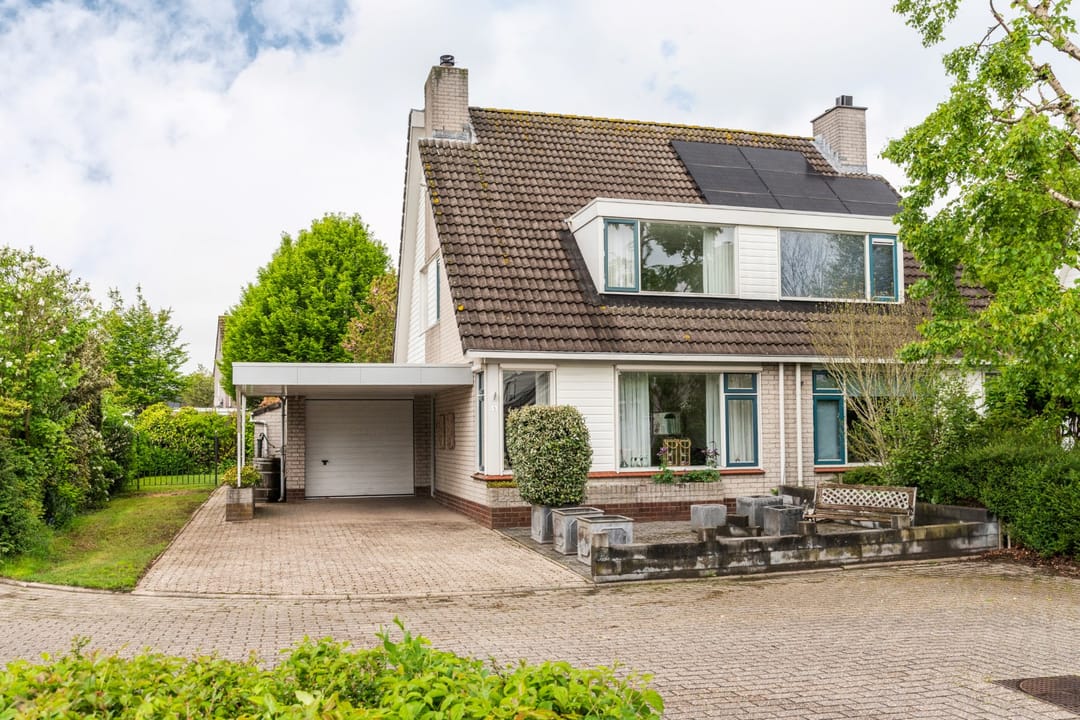 Foto 1 van Goudrenet 1