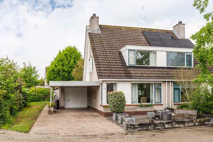 Foto 4 van Goudrenet 1