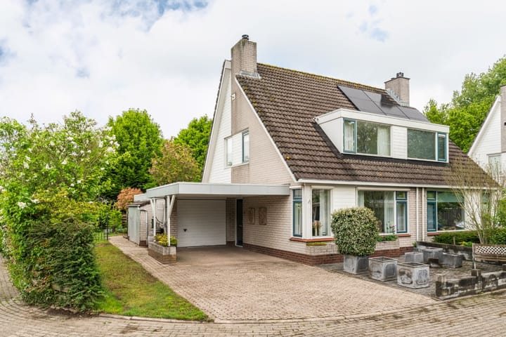 Foto 5 van Goudrenet 1