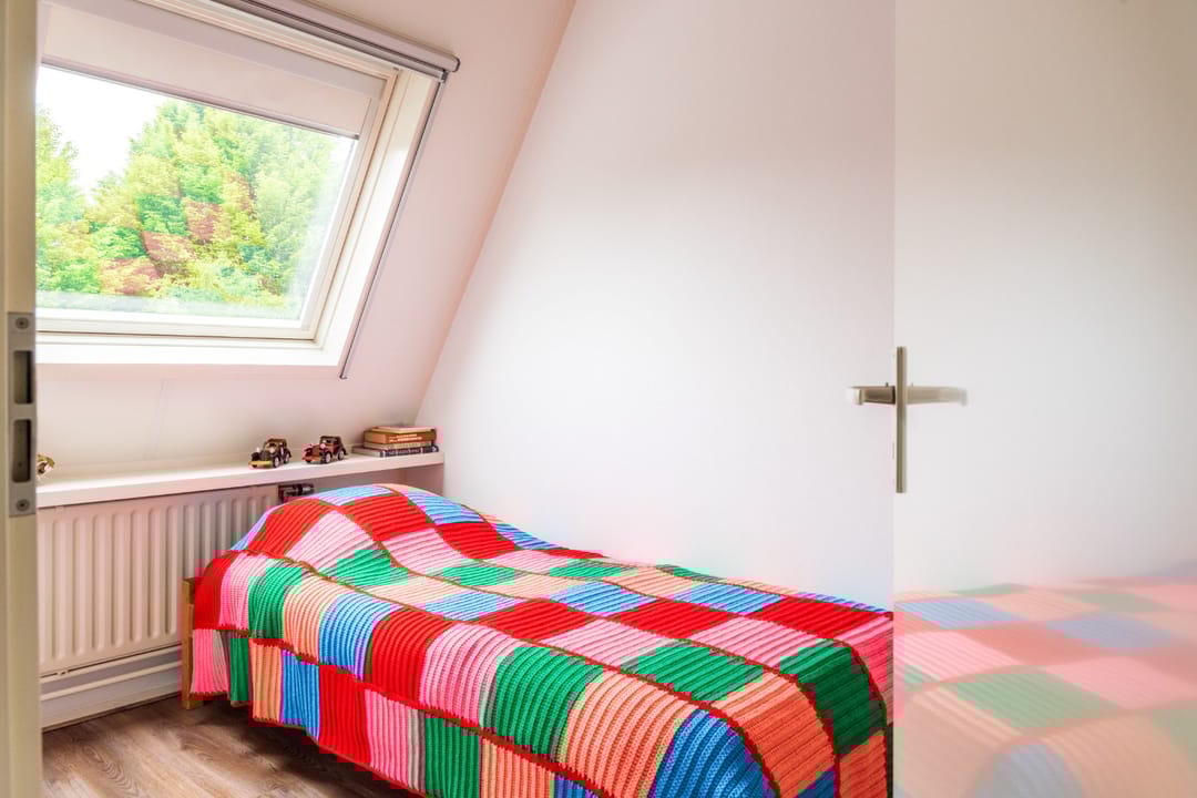 Foto 23 van Goudrenet 1