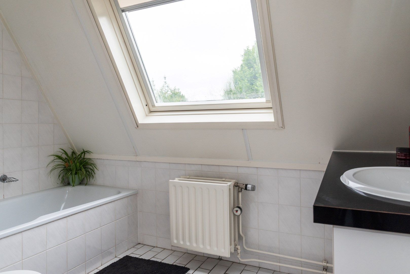 Foto 27 van Goudrenet 1