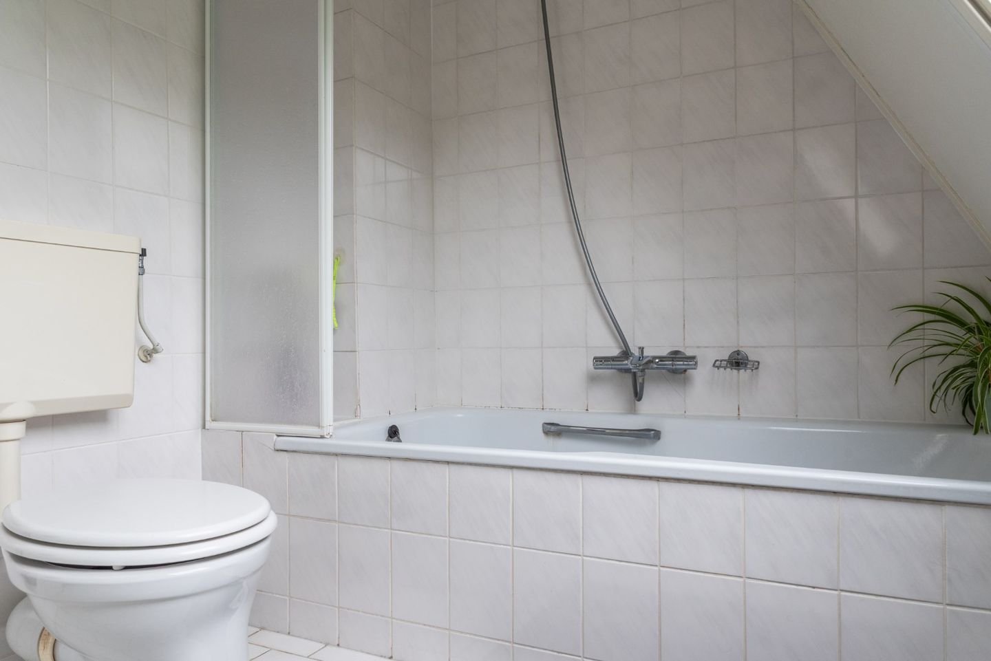 Foto 29 van Goudrenet 1