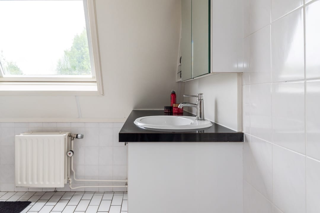 Foto 26 van Goudrenet 1