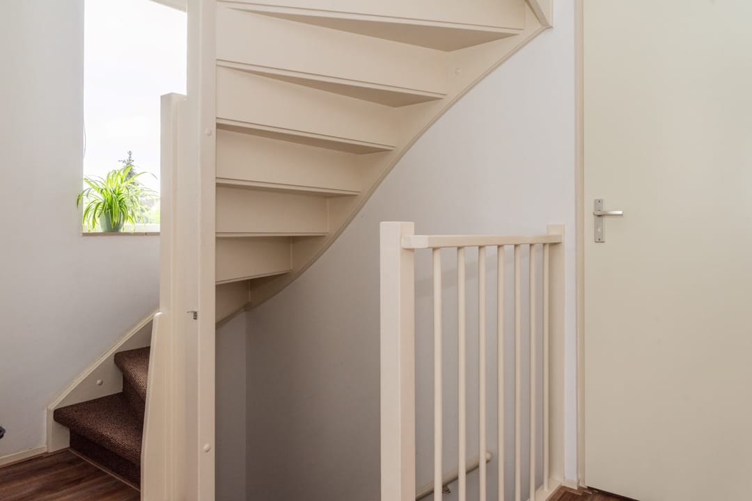 Foto 31 van Goudrenet 1