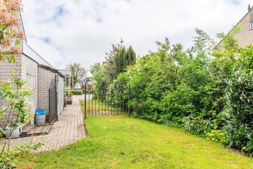 Foto 37 van Goudrenet 1