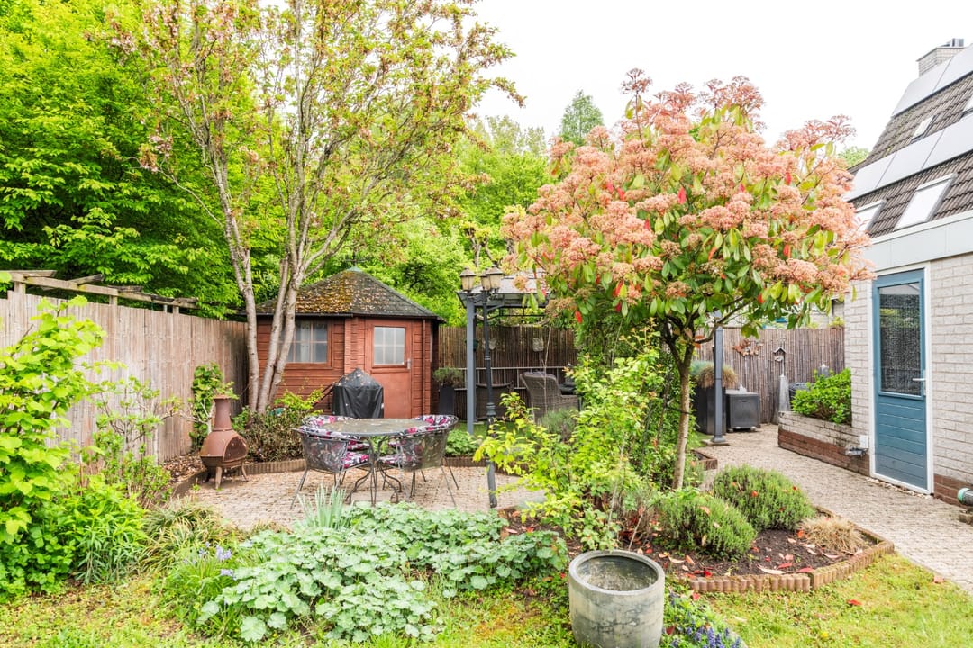 Foto 38 van Goudrenet 1