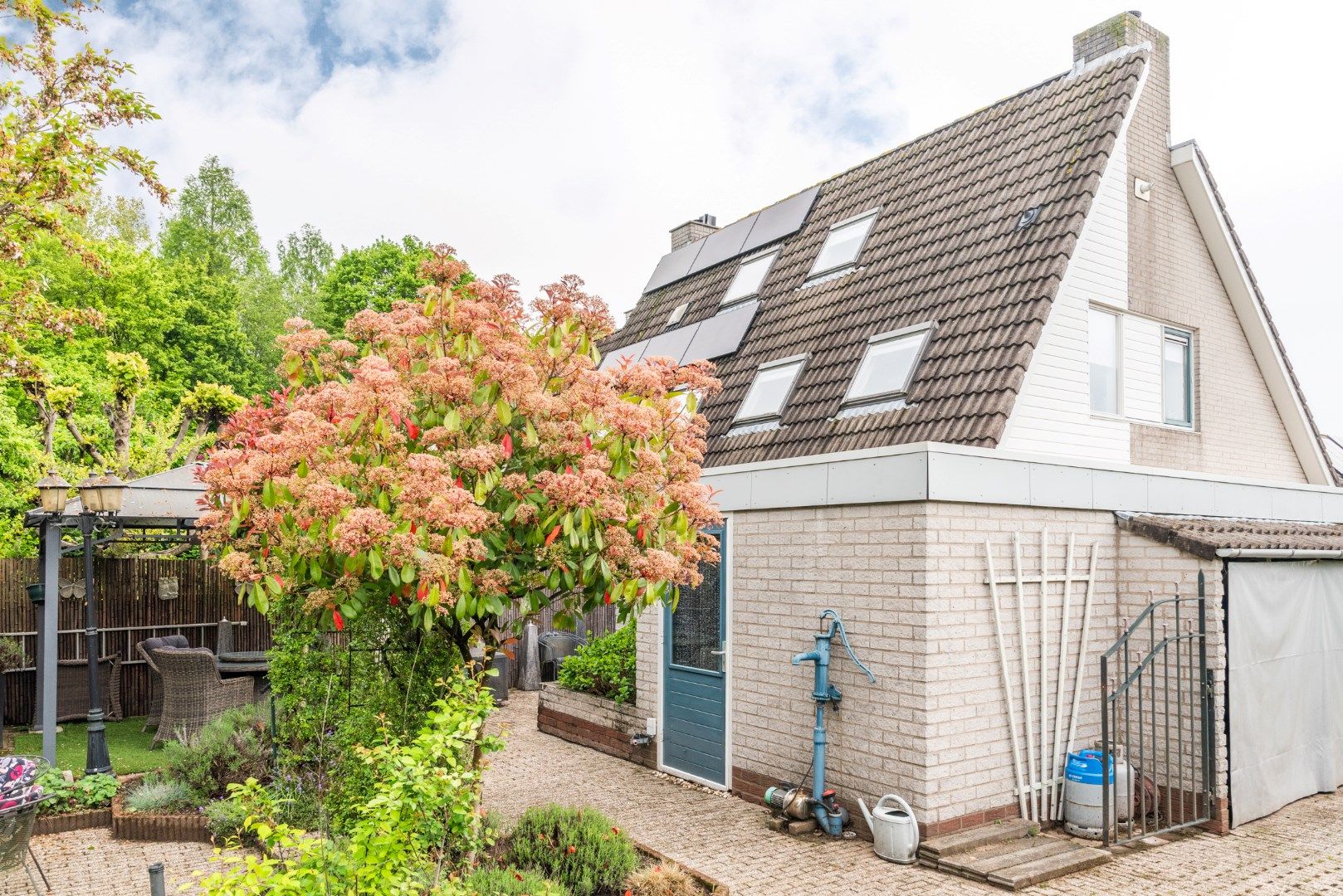 Foto 39 van Goudrenet 1