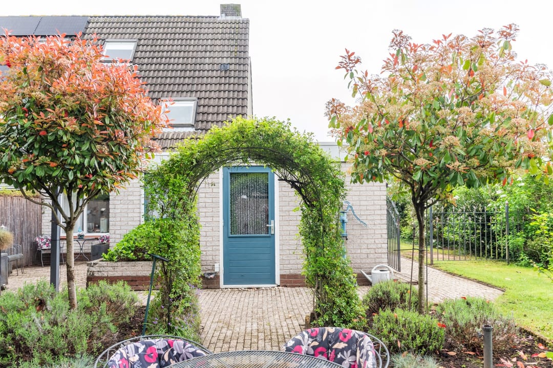 Foto 41 van Goudrenet 1