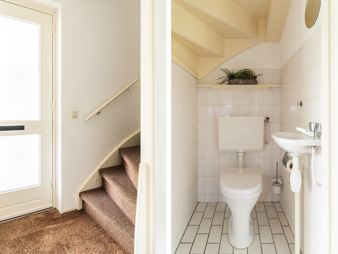 Foto 50 van Goudrenet 1