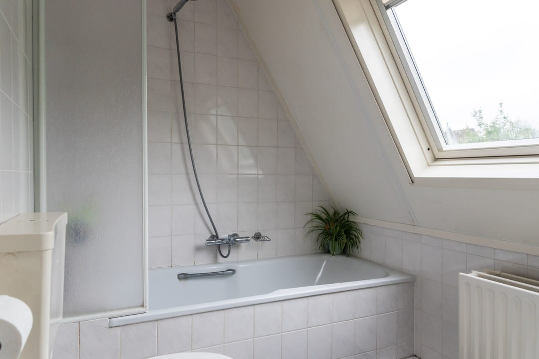 Foto 62 van Goudrenet 1