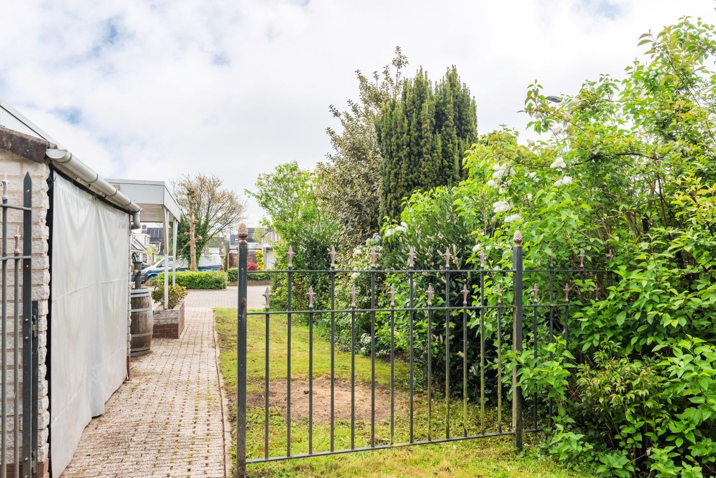 Foto 65 van Goudrenet 1