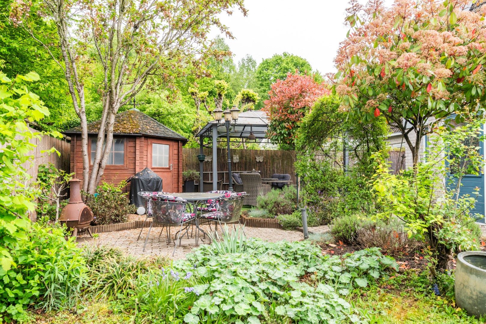 Foto 66 van Goudrenet 1