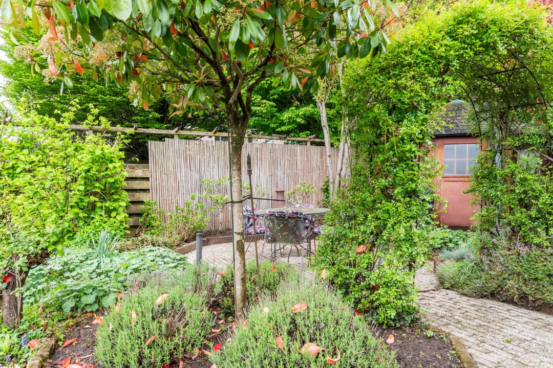 Foto 67 van Goudrenet 1