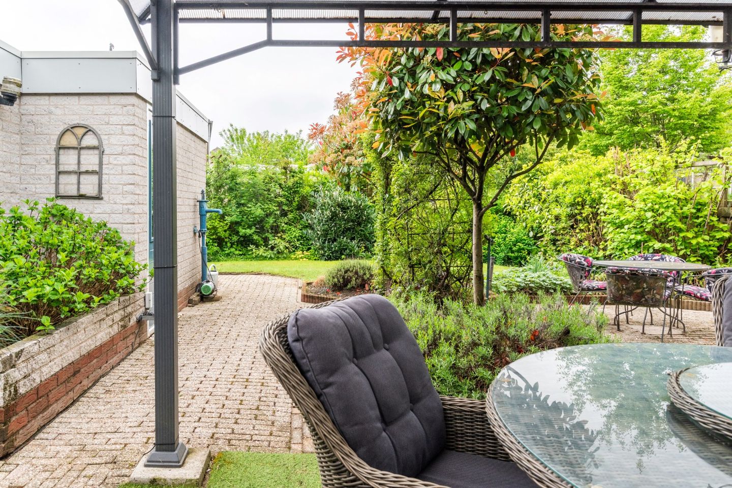 Foto 70 van Goudrenet 1