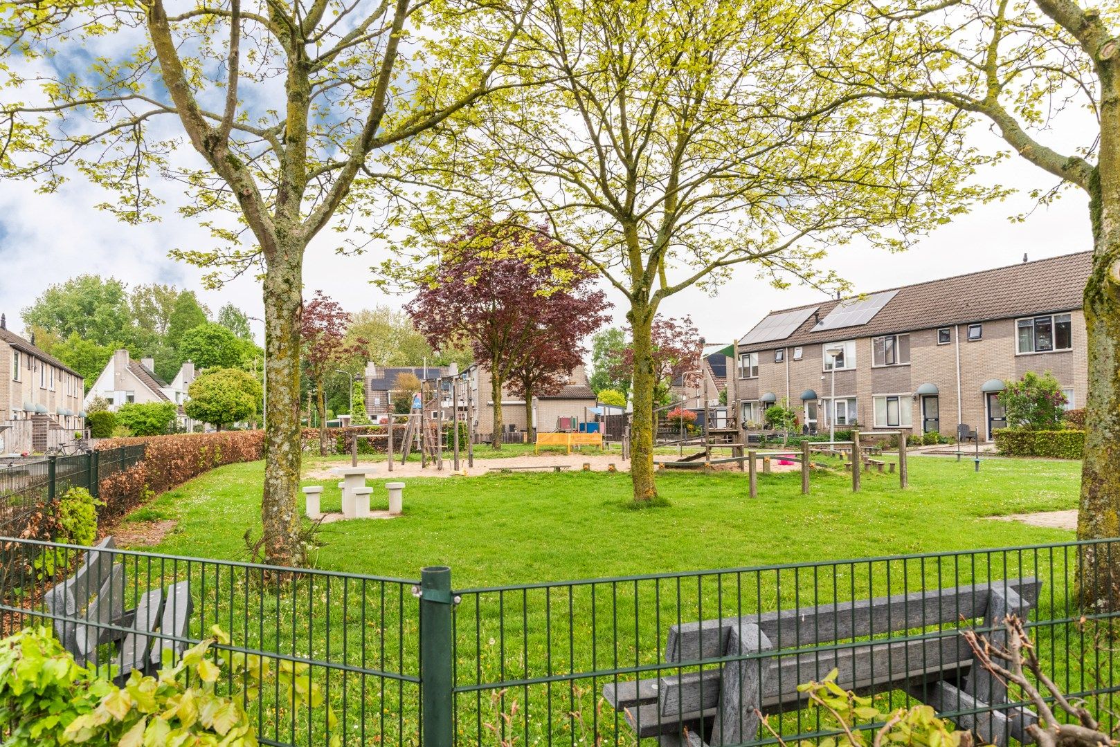 Foto 72 van Goudrenet 1