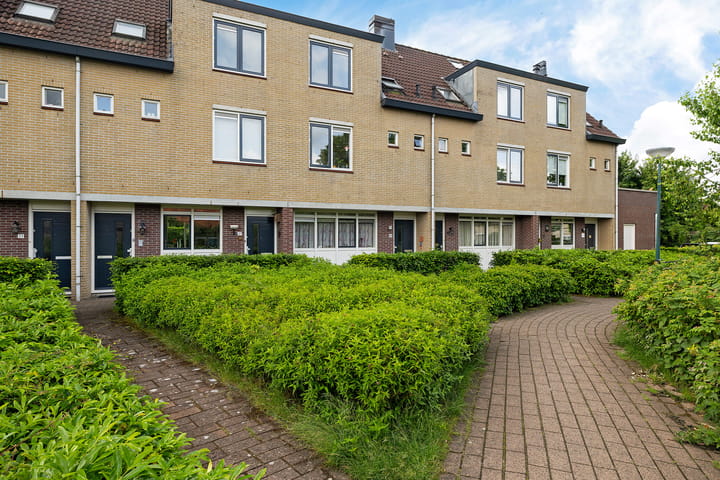 Foto 2 van Goudvink 37