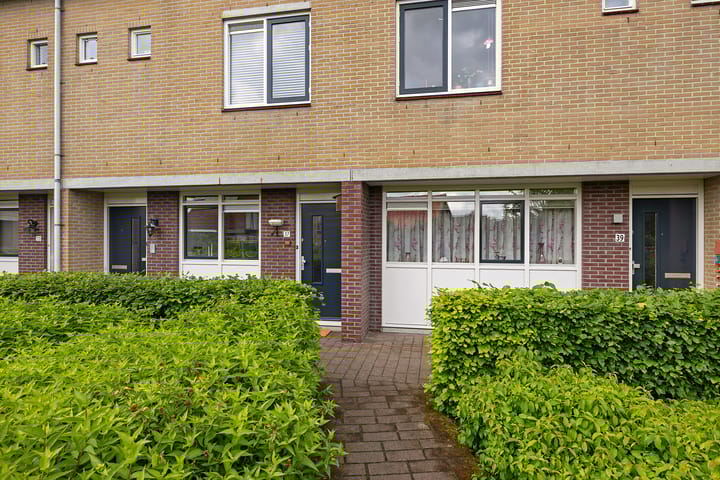 Foto 3 van Goudvink 37