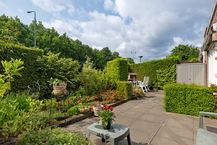 Foto 22 van Goudvink 37