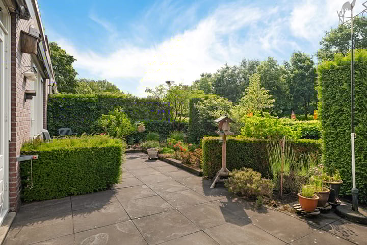 Foto 23 van Goudvink 37