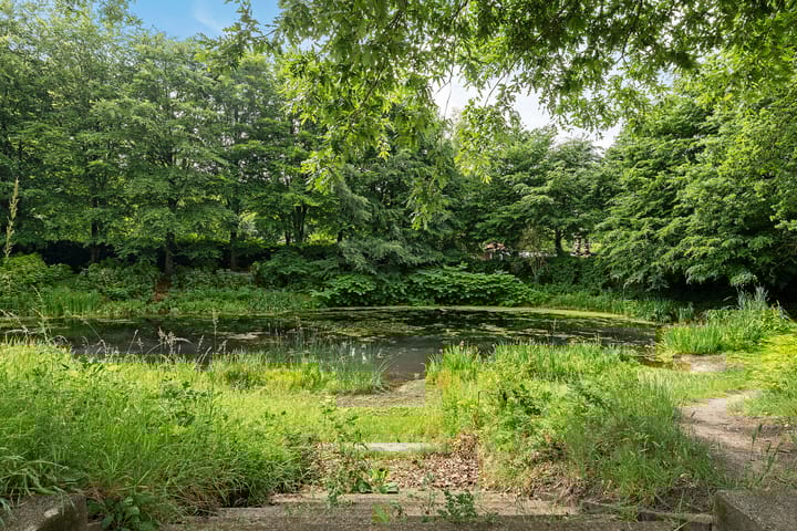 Foto 28 van Goudvink 37