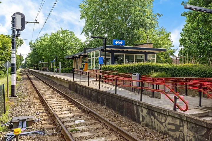 Foto 29 van Goudvink 37