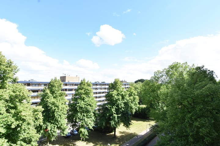 Foto 17 van Dunantstraat 739