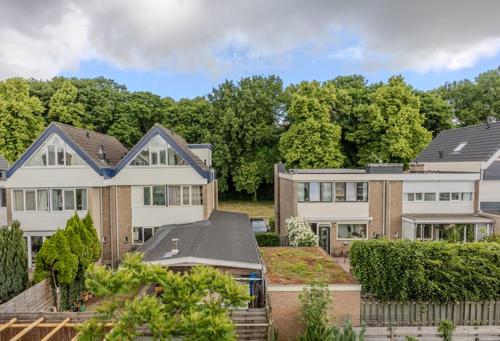 Photo 39 of Grevinckstraat 16