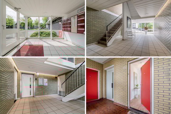 Foto 26 van Tobias Asserlaan 271