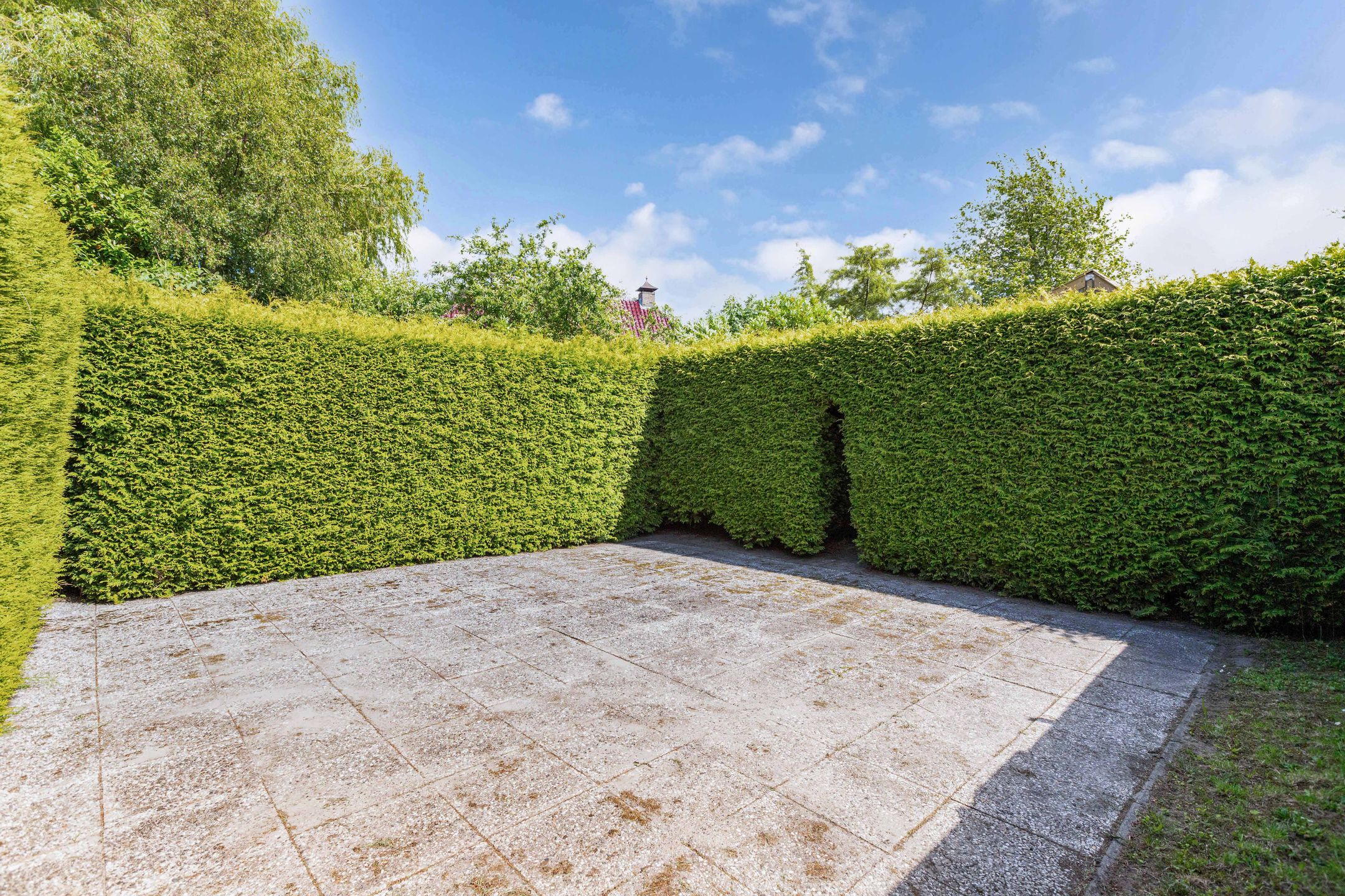 Foto 21 van van Camminghaweg 49