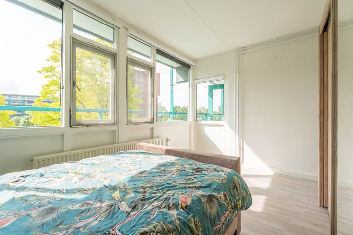 Foto 10 van Iepenschans 11