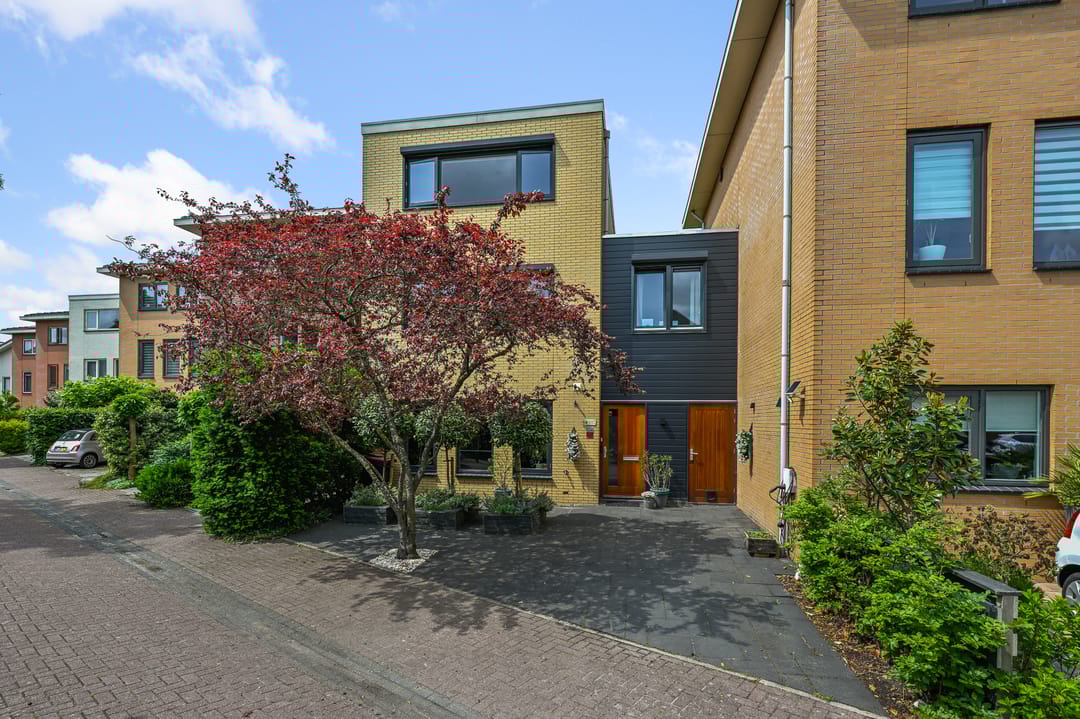 Foto 1 van Zomerzon 14