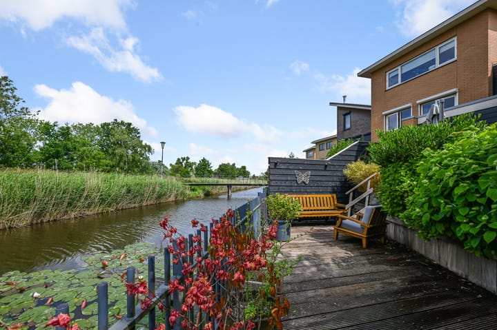 Photo 4 of Zomerzon 14