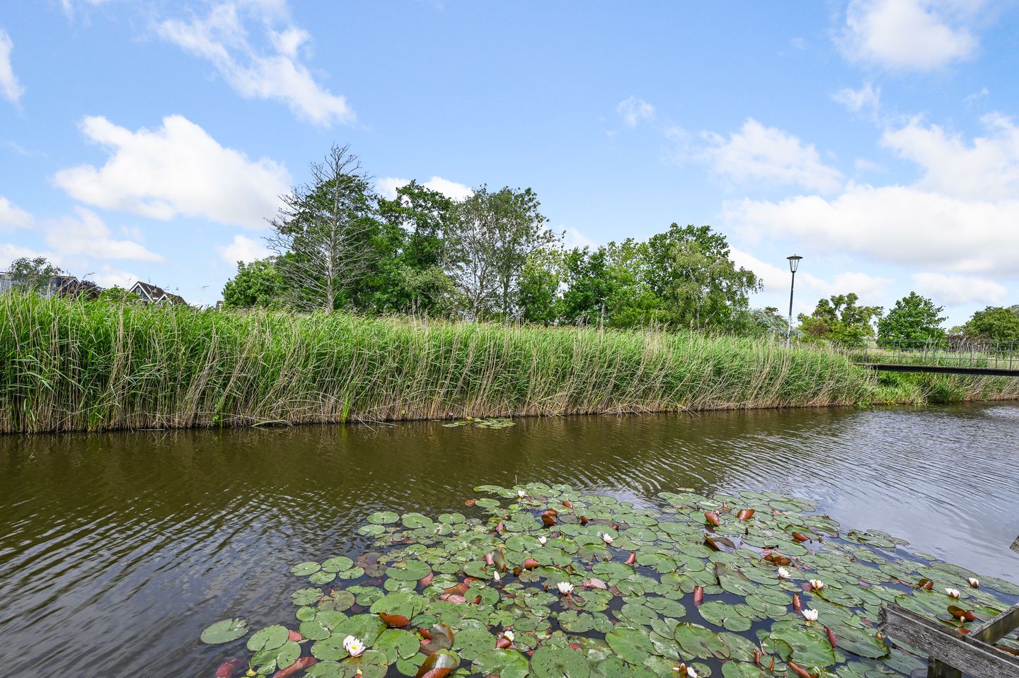 Foto 10 van Zomerzon 14