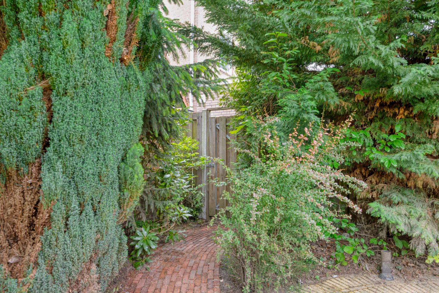 Foto 25 van Ravelstraat 53