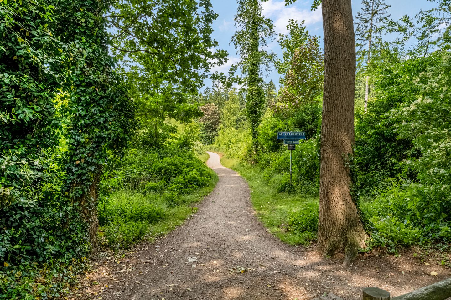 Photo 29 of Het engelse werk 65