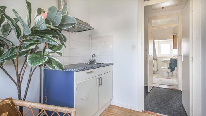 Foto 21 van Bakhuizen van den Brinkstraat 7