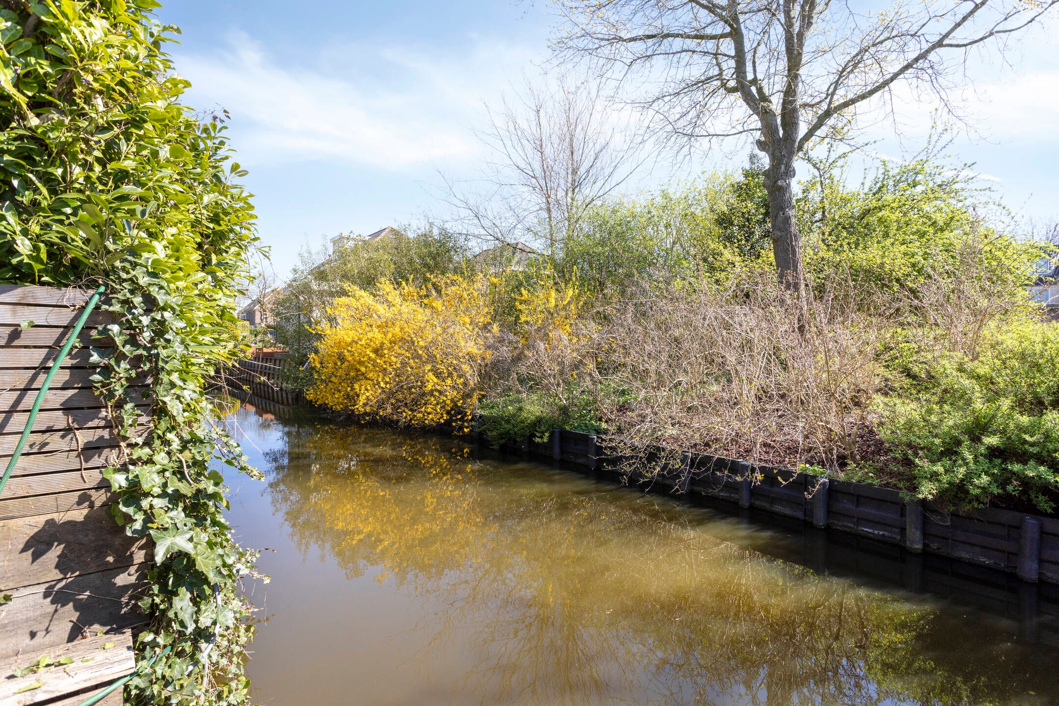 Foto 6 van Meerbon 6