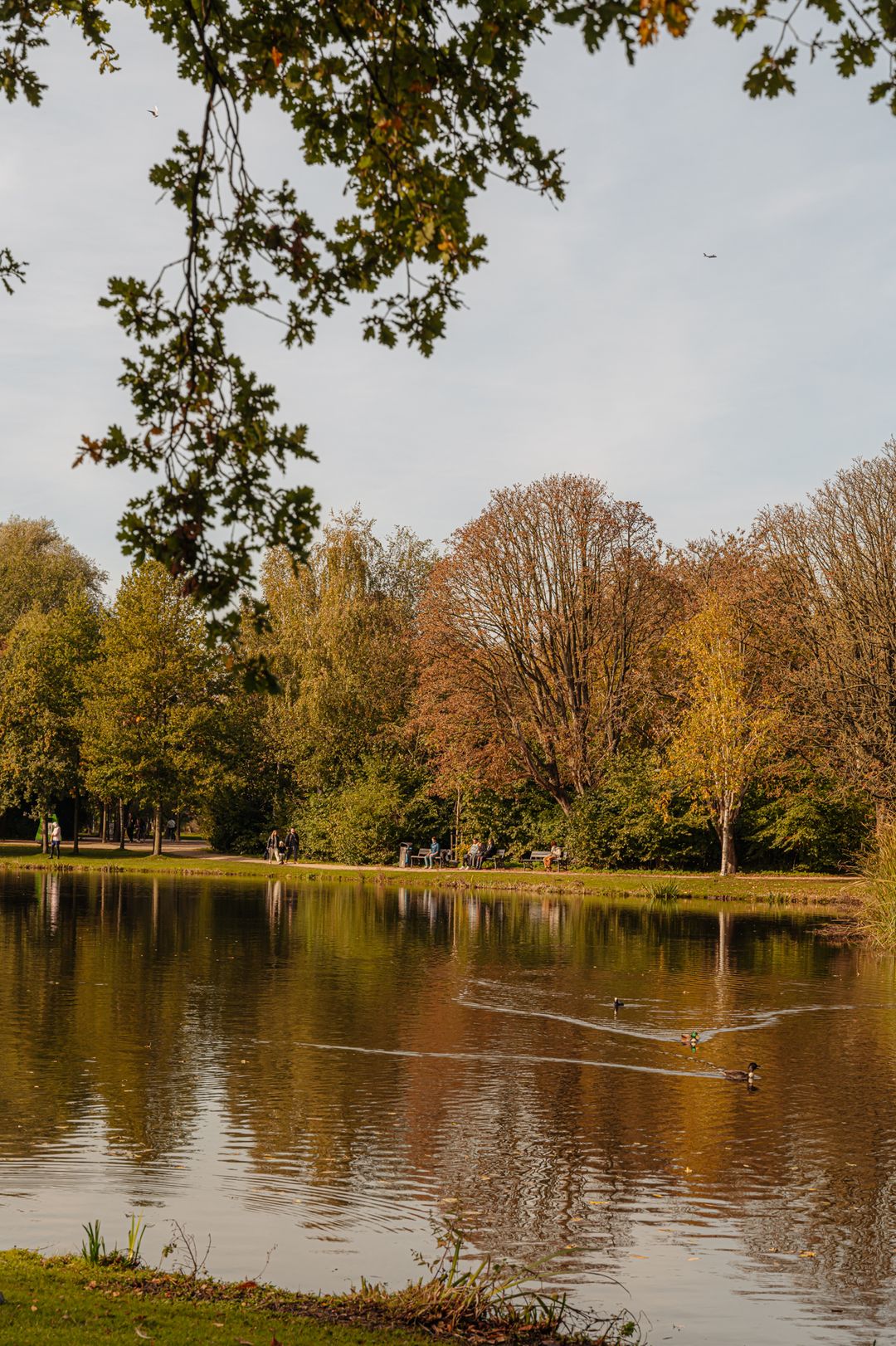 Foto 46 van Van Breestraat 153-3