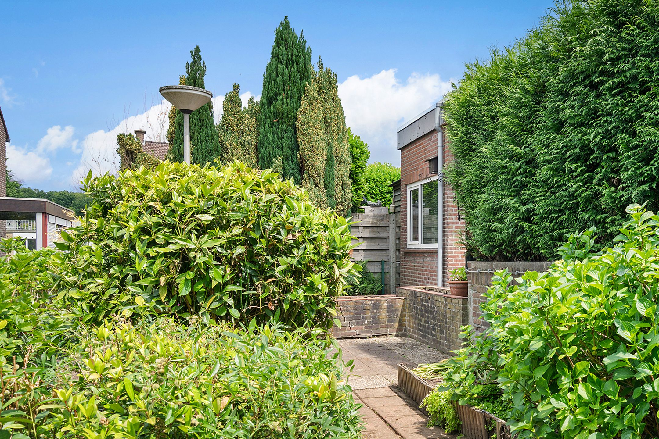 Foto 18 van Torenstraat 6