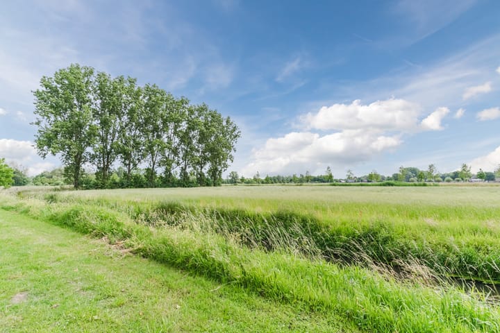 Foto 42 van Muskaatveld 8