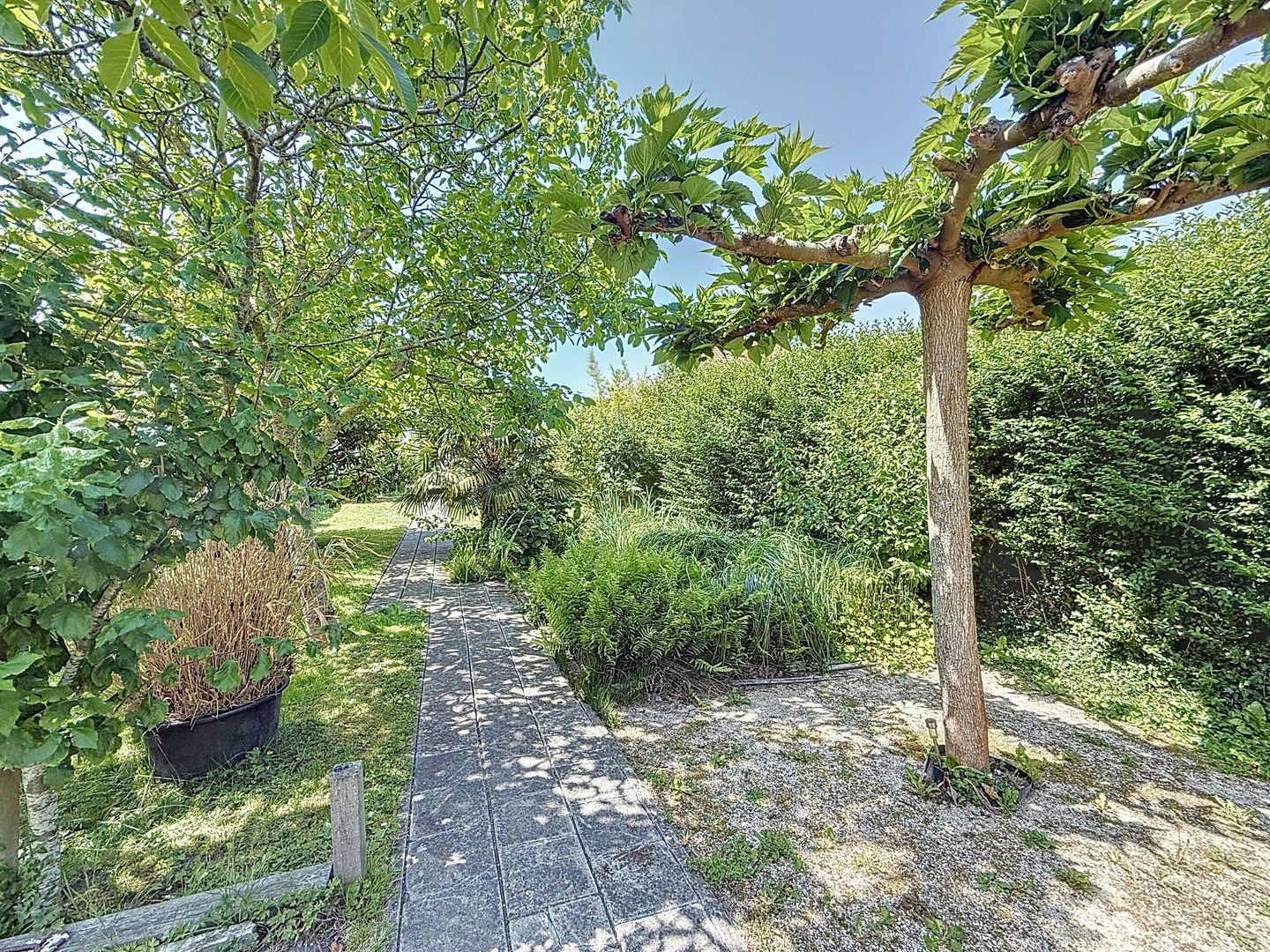 Foto 29 van Oude Rijksweg 50