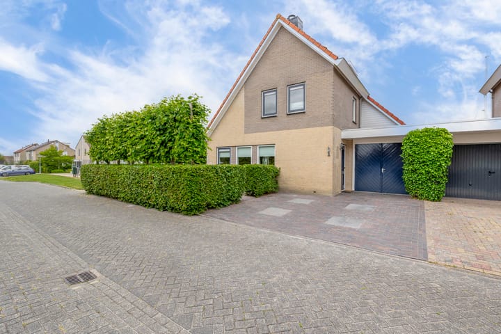 Foto 50 van Steenloper 1