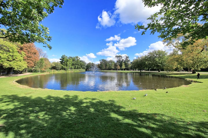 Foto 50 van Arubastraat 5-2