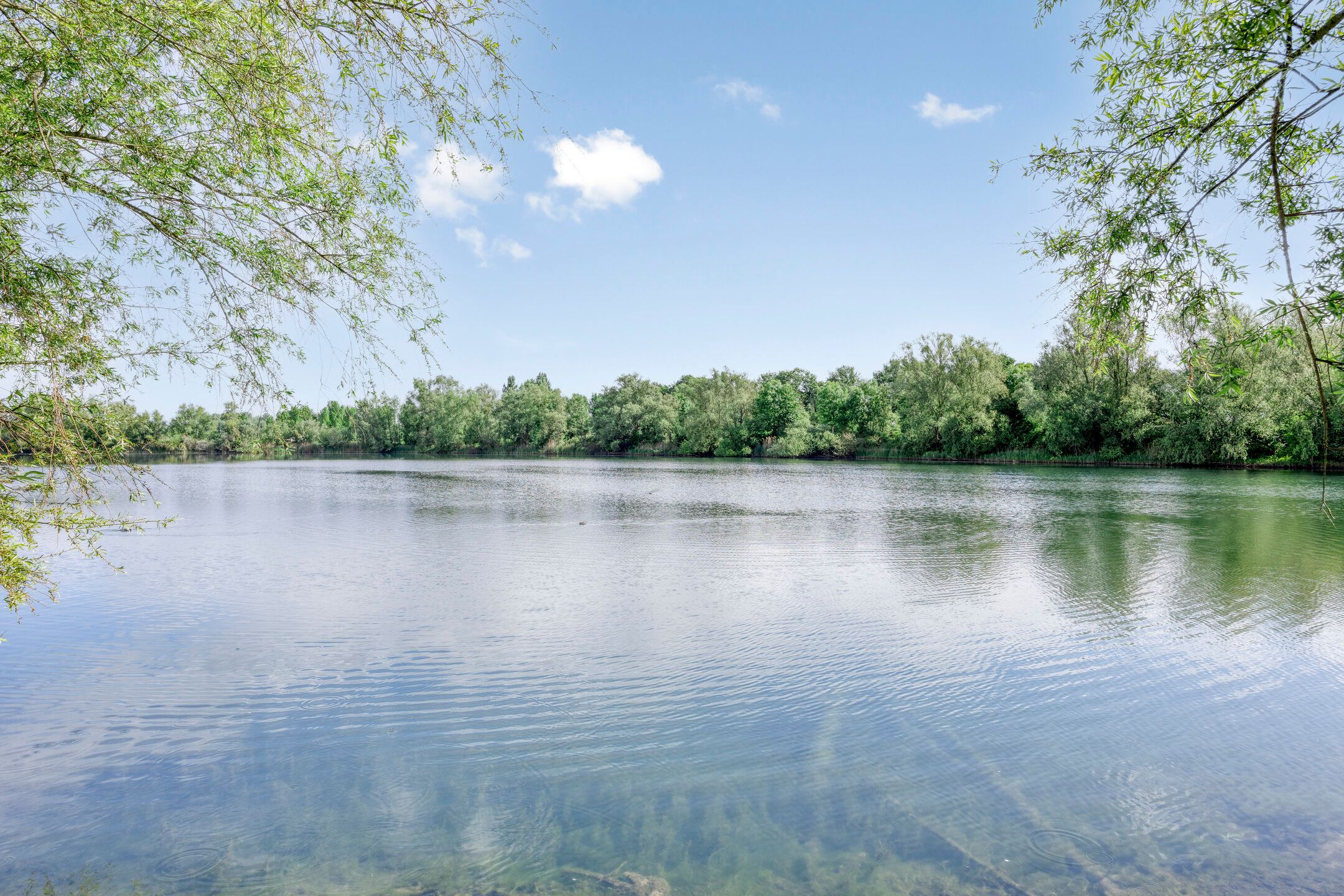 Foto 30 van Bronsbergen 25-R64