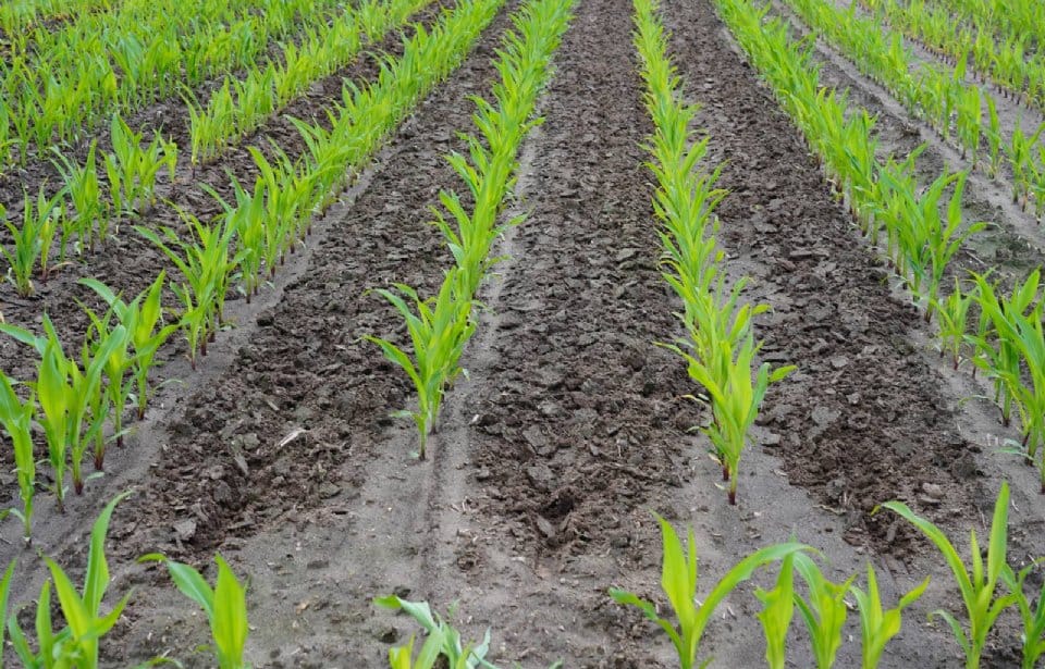 View photo 3 of Harskamperweg