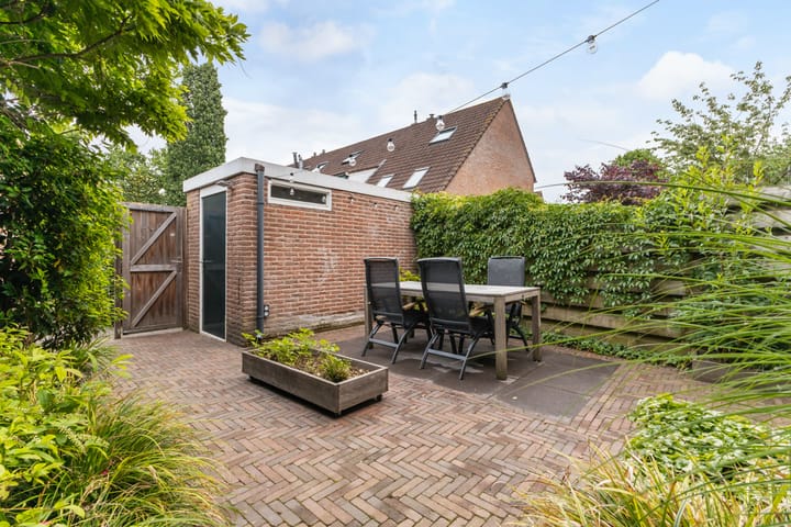 Foto 17 van Schaapherder 17